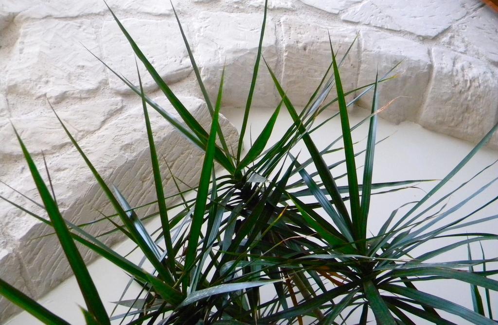 Alvino Suite And Breakfast Lecce Esterno foto